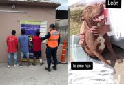 Detuvieron a los asesinos de “León”, el perrito que trató de evitar un robo en el B° Juan Díaz de Solís