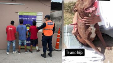Detuvieron a los asesinos de “León”, el perrito que trató de evitar un robo en el B° Juan Díaz de Solís