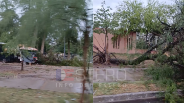 Árboles, ramas caídas y carteles doblados: así luce el Parque Aguirre tras el temporal