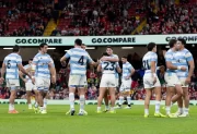 Con el santiagueño Pedro Delgado, Los Pumas cierran el año ante Inglaterra en Twickenham