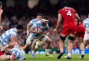 Los Pumas enfrentan a Escocia por otro éxito y más puntos en el ranking mundial