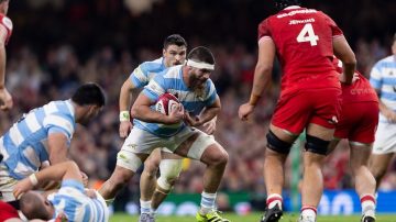 Los Pumas enfrentan a Escocia por otro éxito y más puntos en el ranking mundial