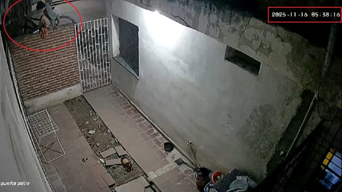 VIDEO: Delincuente saltó una tapia y huyó con una bicicleta en menos de un minuto