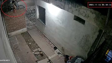 VIDEO: Delincuente saltó una tapia y huyó con una bicicleta en menos de un minuto