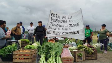 Crisis frutihortícola: productores marcharon en La Plata y exigieron “medidas urgentes” para evitar el colapso del sector