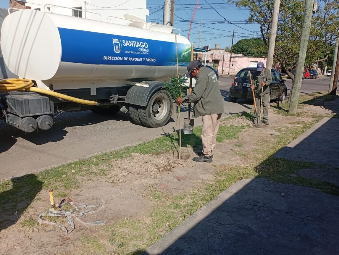 La Municipalidad capitalina cumplió con el objetivo de plantar más de 60.000 árboles durante el año 2025