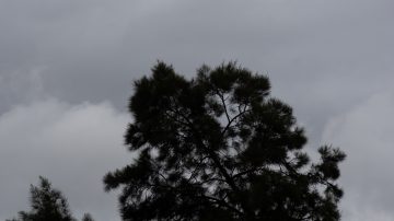 Con cielo gris y viento fresco, el calor da tregua y hay alerta para parte de la provincia