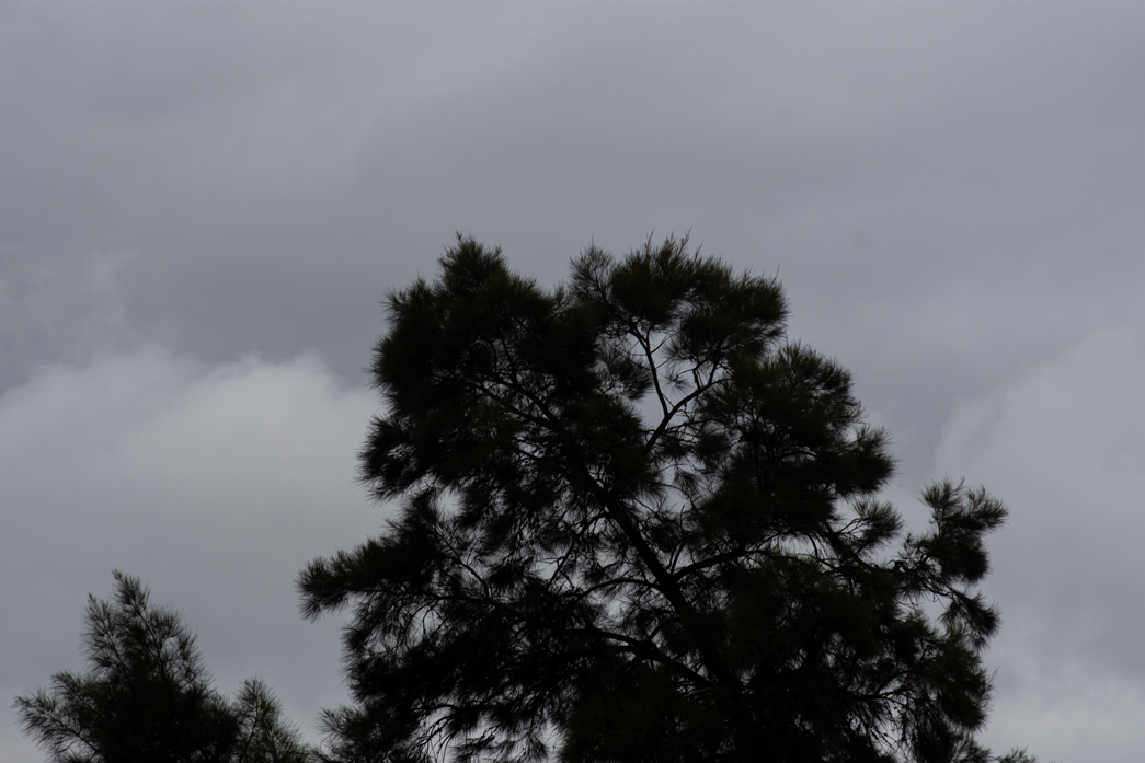 Con cielo gris y viento fresco, el calor da tregua y hay alerta para parte de la provincia