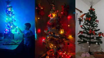 FOTOS | Los arbolitos que ya participan del sorteo de las cajas navideñas de Info del Estero