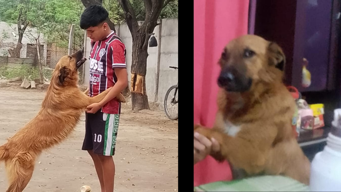Buscan a “Leo”: salió de su casa el domingo y hasta ahora no regresó