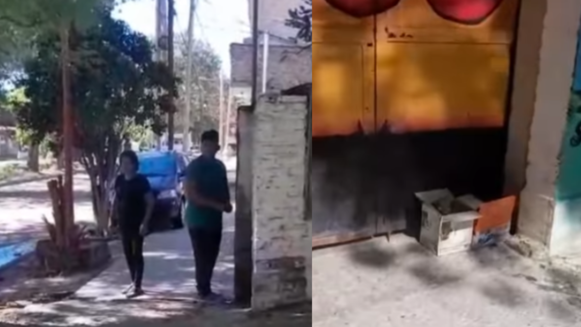 Indignante: abandonaron perritos en la puerta de Bichos y serán denunciados penalmente