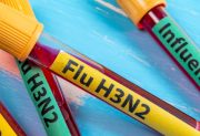 Brote de Gripe H3N2: cuándo llegaría a Argentina y cuál sería su impacto