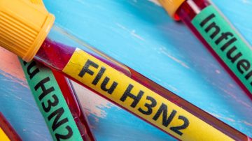 Brote de Gripe H3N2: cuándo llegaría a Argentina y cuál sería su impacto