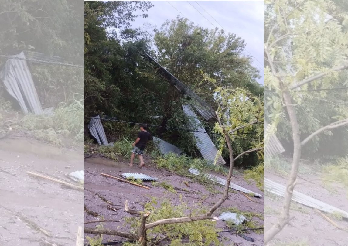 Una tormenta inesperada sacudió Fernández y parajes vecinos: caída de árboles, daños rurales y familias asistidas