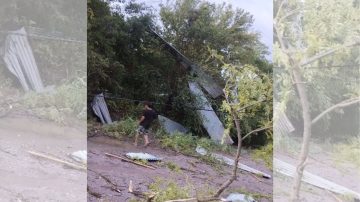 Una tormenta inesperada sacudió Fernández y parajes vecinos: caída de árboles, daños rurales y familias asistidas