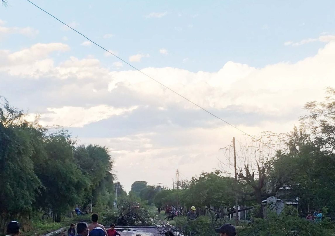 Fuerte temporal provocó caída de árboles, voladura de techos y daños en viviendas en múltiples localidades de la provincia