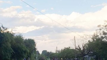 Fuerte temporal provocó caída de árboles, voladura de techos y daños en viviendas en múltiples localidades de la provincia