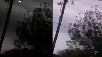 Monte Quemado: un perro murió tras ser alcanzado por un rayo durante la tormenta