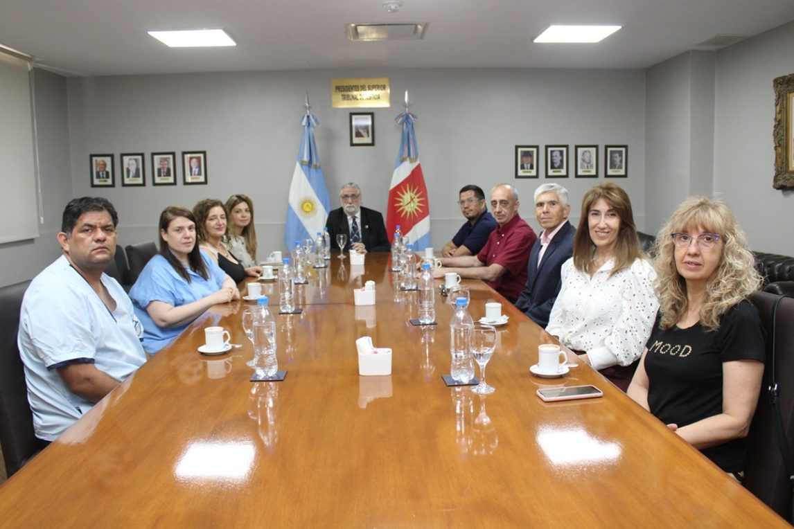 El Superior Tribunal de Justicia se reunió con representantes de Colegios Profesionales vinculados al área de la salud