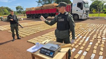 Camionero ocultó kilos y kilos de marihuana en un cargamento de maderas, pero lo descubrieron