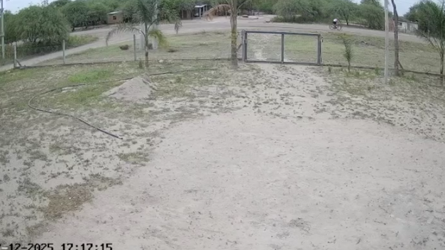 VIDEO | Una joven denunció que su perro fue asesinado de un disparo y pide justicia