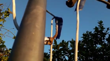 Insólito hecho en La Banda: pastores evangélicos se “colgaron” en el tendido eléctrico para realizar una campaña religiosa