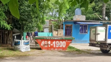 Una mujer envenenó a los 28 animales que vivían con ella y se suicidó consumiendo lo mismo