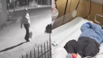 Envuelto en una sábana, abandonaron a un bebé en una zanja: buscan a la persona que lo dejó