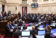 Viernes decisivo en el Senado por el Presupuesto, Ley de Inocencia Fiscal, universidades y discapacidad