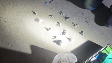 Aprehenden a un hombre con cocaína y marihuana tras protagonizar un incidente familiar