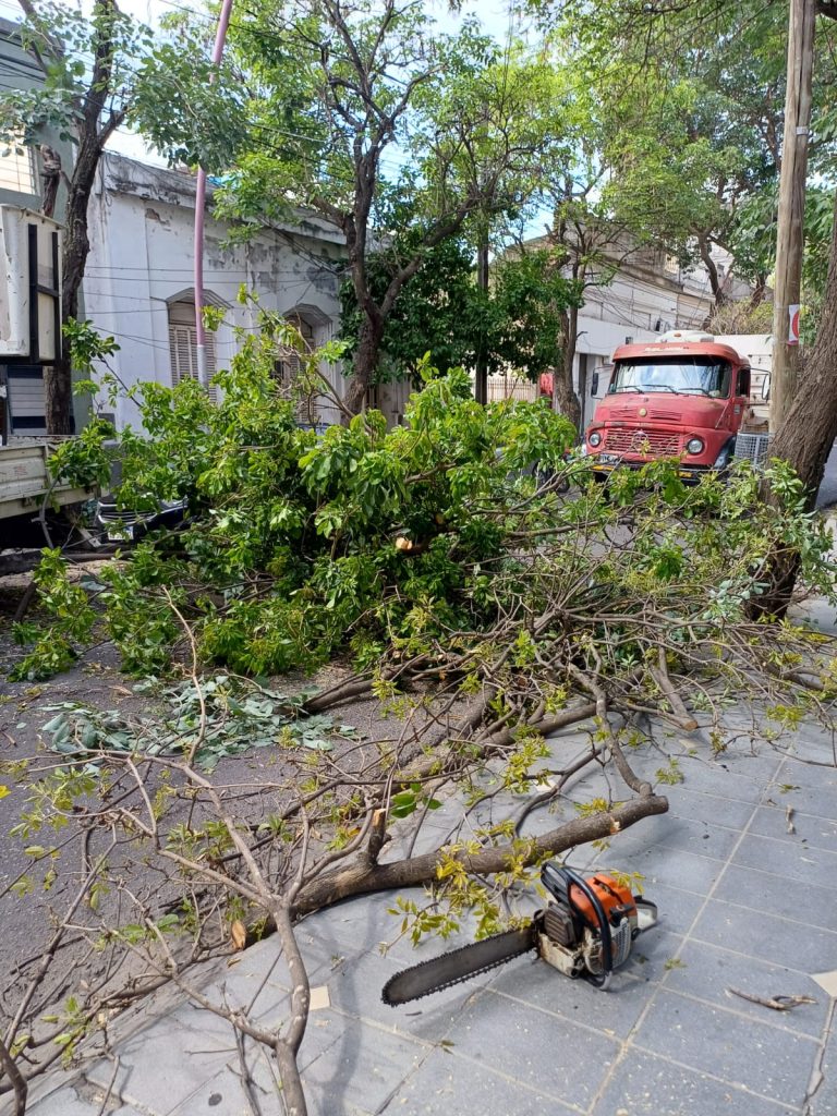Inhabilitan el tránsito en calle Urquiza, entre Independencia y 24 de Septiembre
