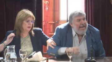 “Hacen lo que se les canta las pelotas”: La reacción del senador Mayans en medio de una discusión