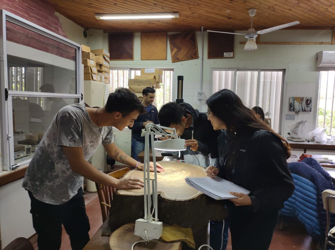 Preinscripciones abiertas para el Ingreso 2026 de la Facultad de Ciencias Forestales de la UNSE