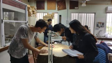 Preinscripciones abiertas para el Ingreso 2026 de la Facultad de Ciencias Forestales de la UNSE