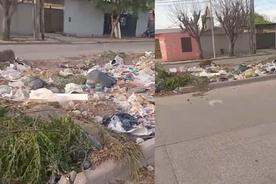 B° Vinalar: exponen crítica situación por basurales a cielo abierto en Av. Los Pioneros