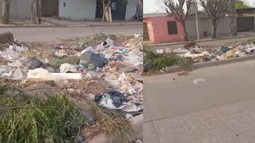 B° Vinalar: exponen crítica situación por basurales a cielo abierto en Av. Los Pioneros