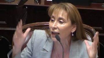 “Callate mamarracho”: fuerte discusión entre senadoras durante el debate por el Presupuesto 2026