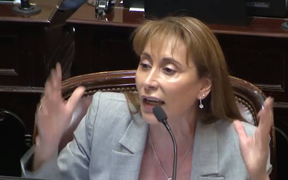 “Callate mamarracho”: fuerte discusión entre senadoras durante el debate por el Presupuesto 2026