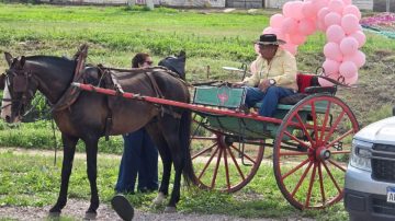 ¡Vale llorar! Se recibió y su abuelo fue a esperarla en sulki para festejar