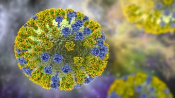 Detectaron en Argentina los primeros casos de la llamada “Gripe K”: de qué se trata