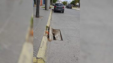 Vecinos de Av. Colón reclaman por un “cráter” que causó serios daños en vehículos