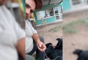 Viaja a pie con sus perros rumbo a Buenos Aires y pide ayuda para poder seguir adelante