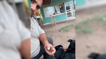 Viaja a pie con sus perros rumbo a Buenos Aires y pide ayuda para poder seguir adelante