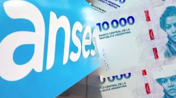 Anses paga $334.000 a un grupo de desempleados antes de fin de año