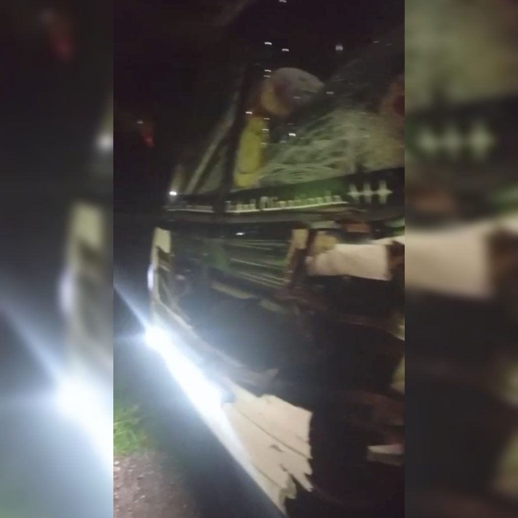 Susto en la Ruta 9: Un colectivo chocó a un animal vacuno