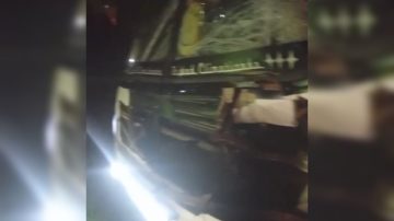 Susto en la Ruta 9: Un colectivo chocó a un animal vacuno