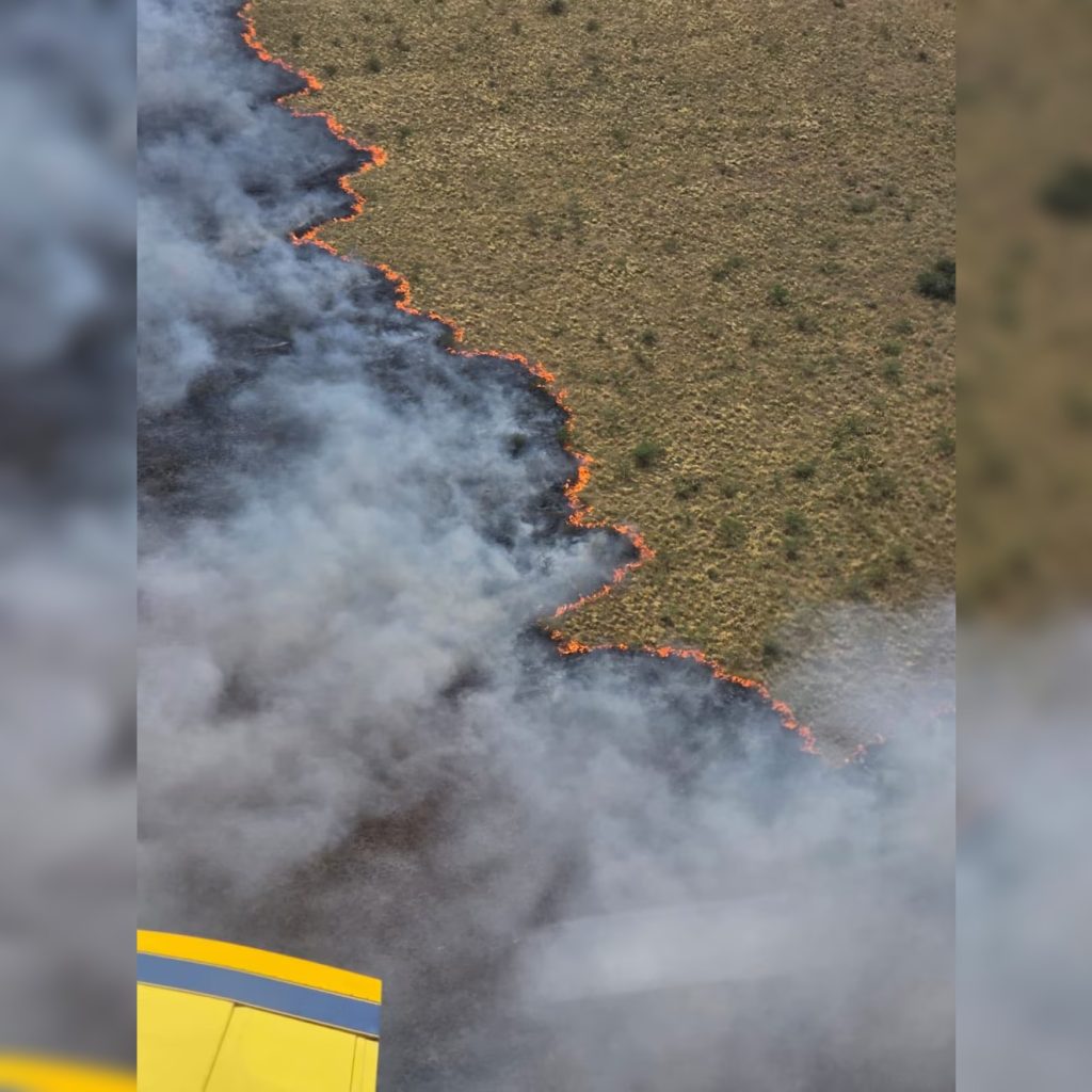 Los incendios forestales en La Pampa arrasaron con 83.000 hectáreas