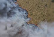 Los incendios forestales en La Pampa arrasaron con 83.000 hectáreas