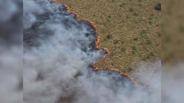 Los incendios forestales en La Pampa arrasaron con 83.000 hectáreas