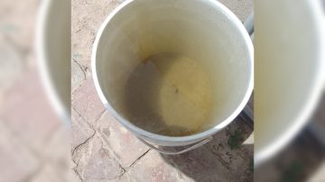 “El agua del canal es más limpia”: El reclamo de vecinos de cuatro barrios de la Capital